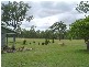 Baffle Creek QLD 4674