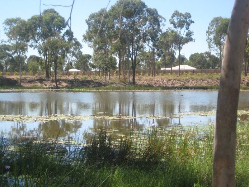 Lot 1 Ghost Gum Road, Sharon QLD 4670