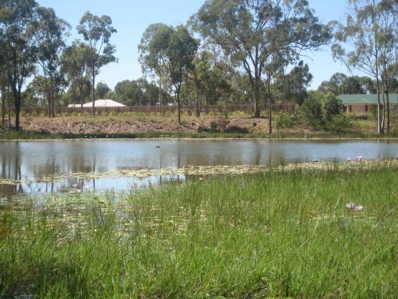 Lot 1 Ghost Gum Road, Sharon QLD 4670