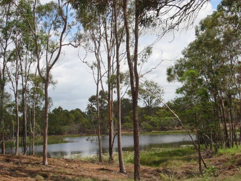 Lot 1 Ghost Gum Road, Sharon QLD 4670