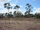 Lot 12 Sharondale Park, Sharon QLD 4670