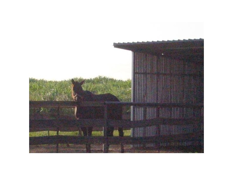 Fairymead QLD 4670