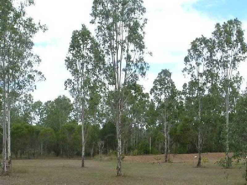 Oyster Creek QLD 4674