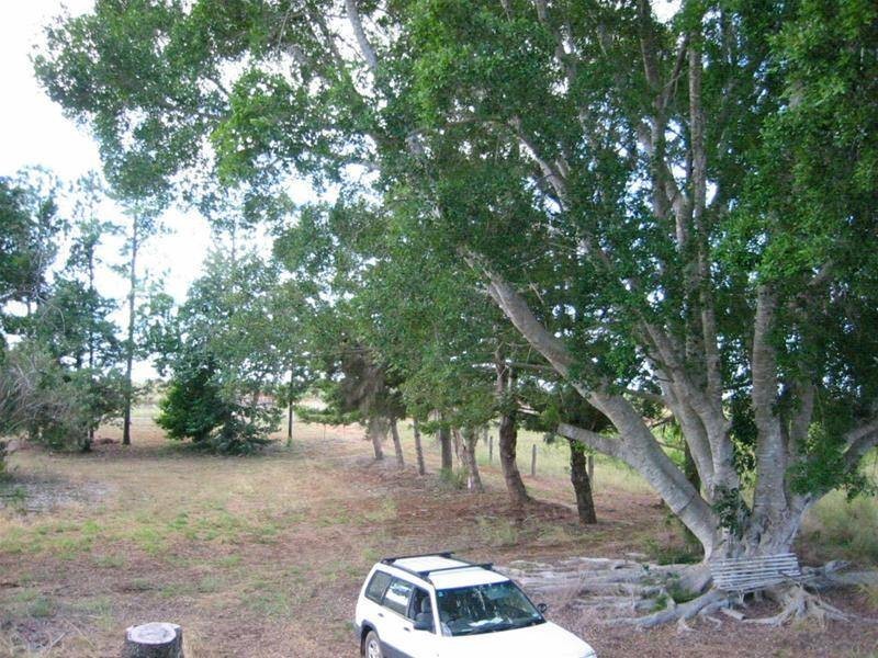Pine Creek QLD 4670