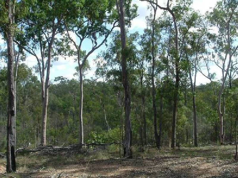 Euleilah QLD 4674