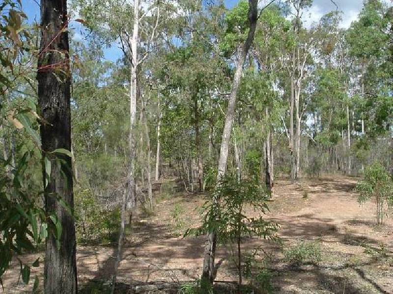Euleilah QLD 4674