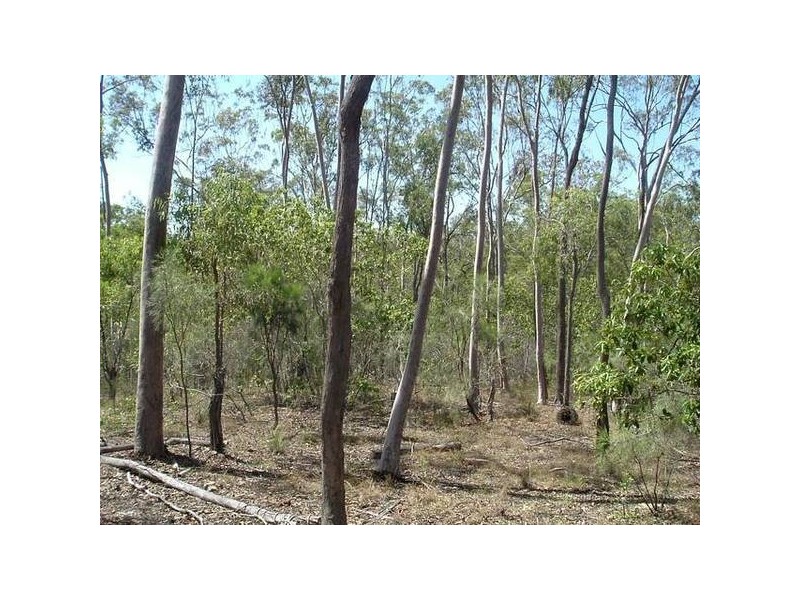 Euleilah QLD 4674
