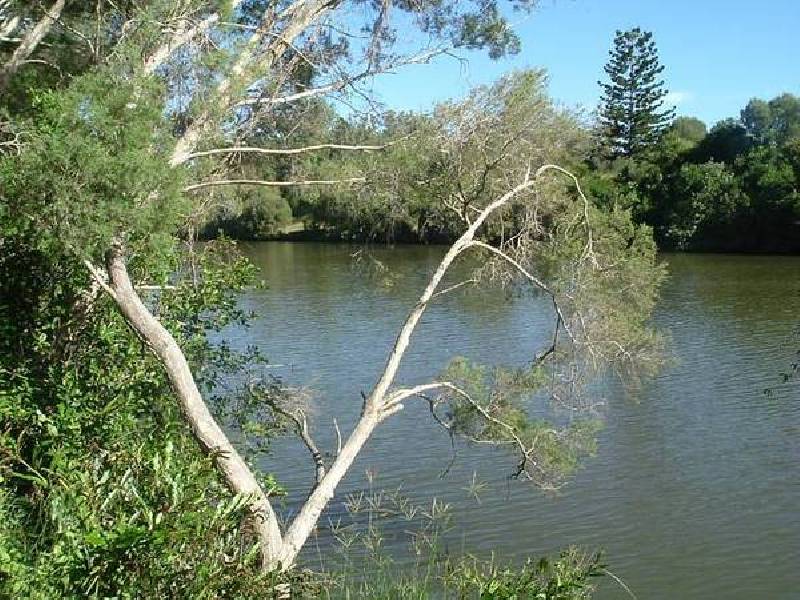 Oyster Creek QLD 4674