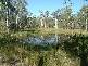 Oyster Creek QLD 4674
