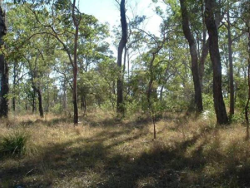 Oyster Creek QLD 4674