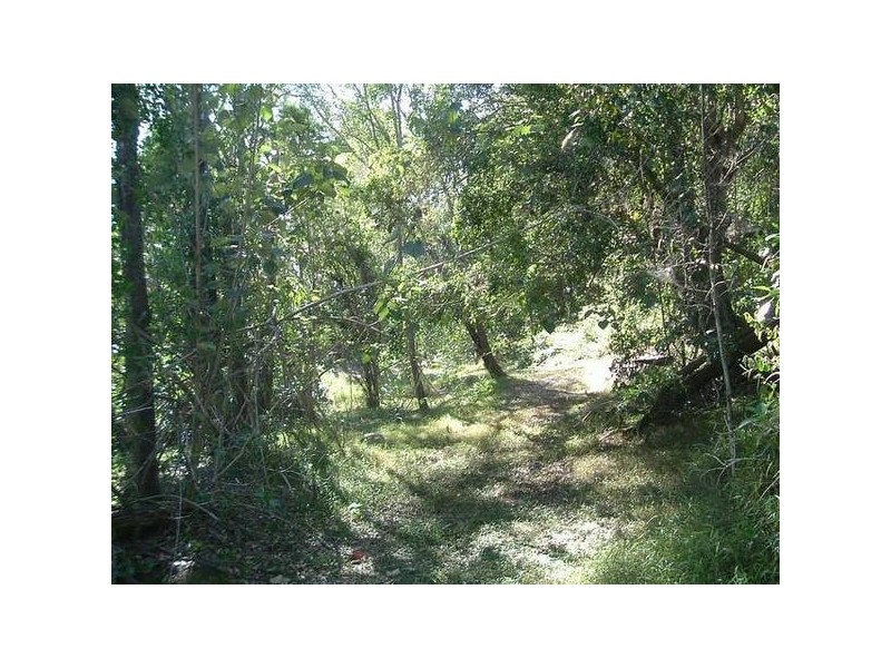 Oyster Creek QLD 4674