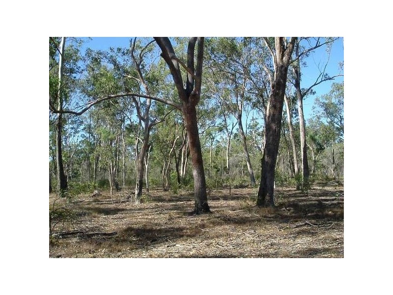 Oyster Creek QLD 4674