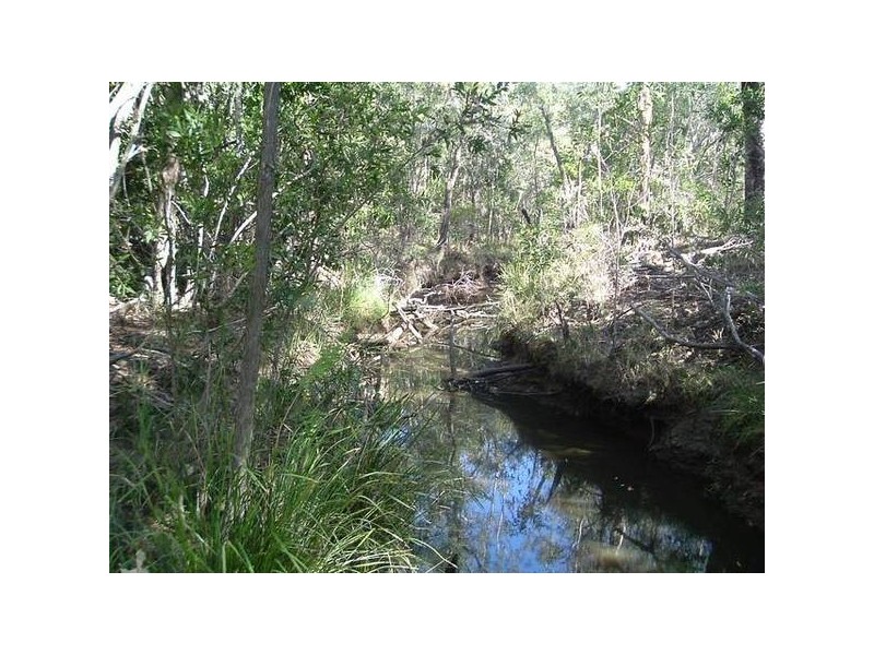 Oyster Creek QLD 4674
