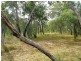 Deepwater QLD 4674