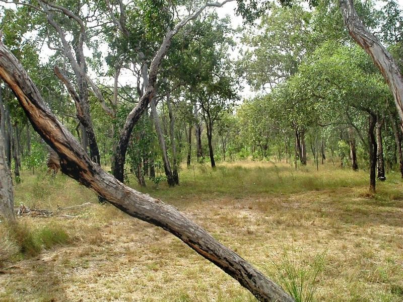 Deepwater QLD 4674