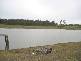 Drinan QLD 4671