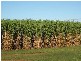 Drinan QLD 4671