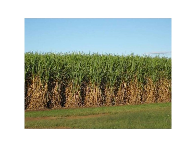 Drinan QLD 4671