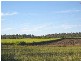 Drinan QLD 4671