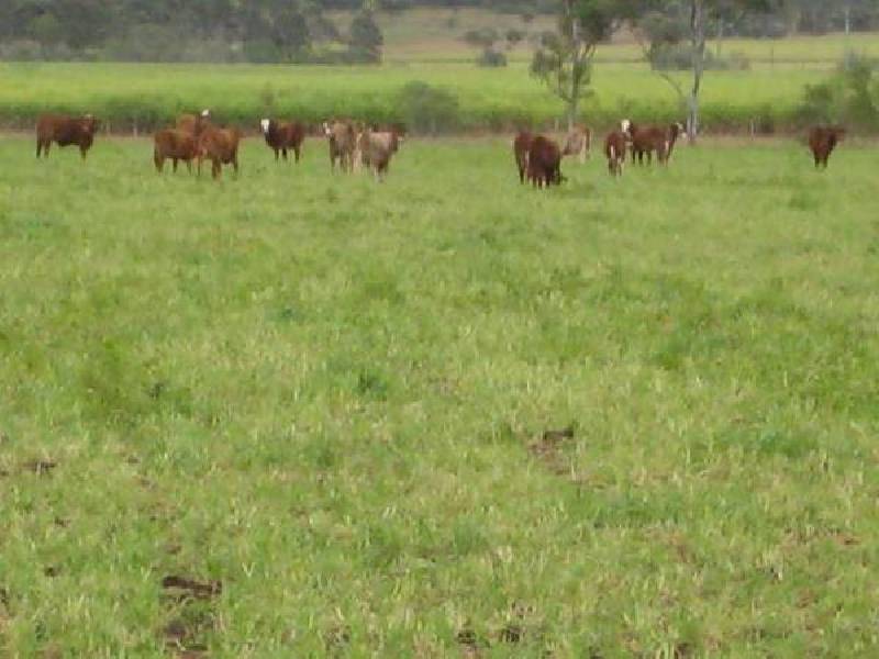 Gin Gin QLD 4671