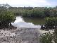 Coonarr QLD 4670