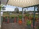 Sharon QLD 4670