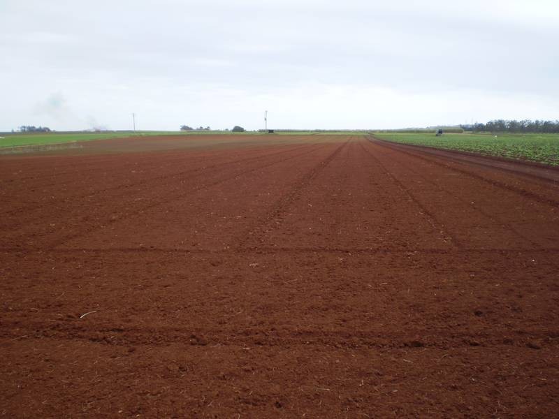 Woongarra QLD 4670