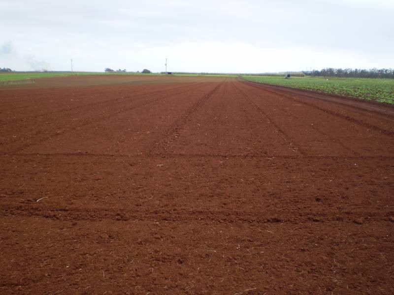 Woongarra QLD 4670