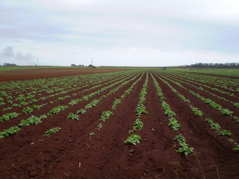 Woongarra QLD 4670
