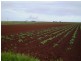 Woongarra QLD 4670