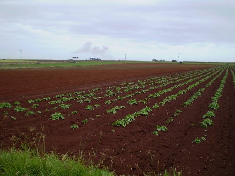 Woongarra QLD 4670