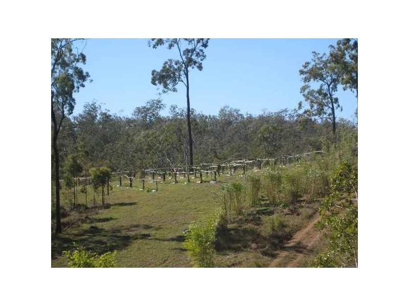 Promisedland QLD 4660
