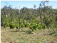Promisedland QLD 4660