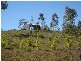 Promisedland QLD 4660