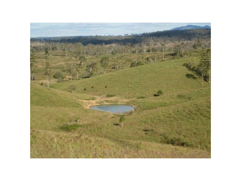 Lot 1/365 Mingo Road, Good Night QLD 4671