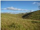 Lot 1/365 Mingo Road, Good Night QLD 4671