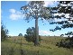 Lot 1/365 Mingo Road, Good Night QLD 4671
