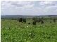 Good Night QLD 4671