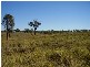Rosedale QLD 4674