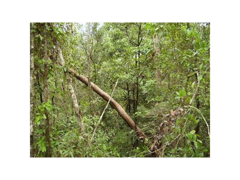 Mount Maria QLD 4674