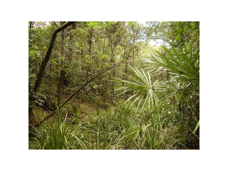 Mount Maria QLD 4674