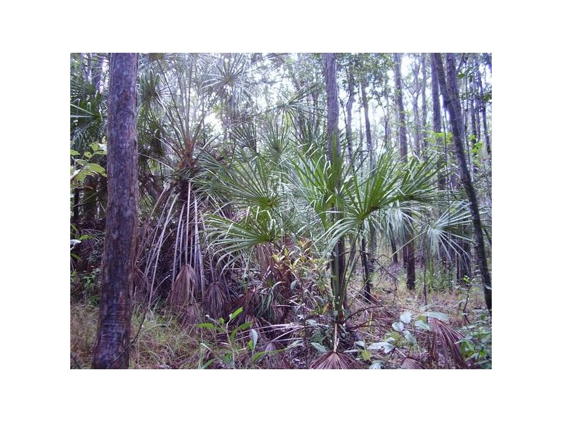 Mount Maria QLD 4674