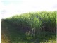 Meadowvale QLD 4670