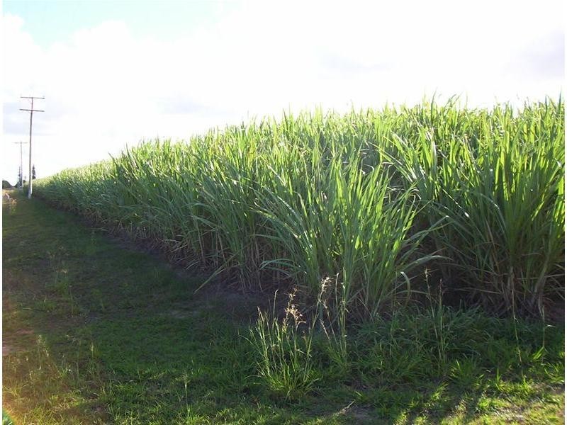 Meadowvale QLD 4670