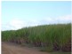 Meadowvale QLD 4670