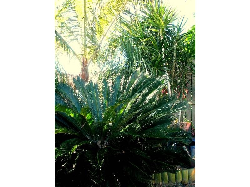 Burnett Heads QLD 4670