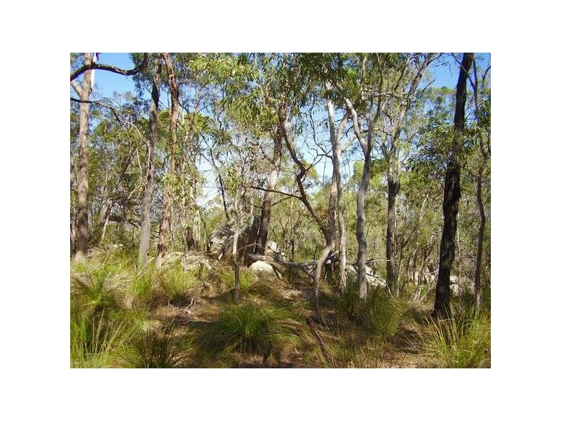 Lowmead QLD 4676