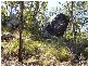 Lowmead QLD 4676