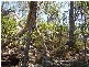 Lowmead QLD 4676