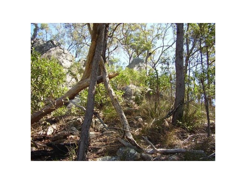Lowmead QLD 4676